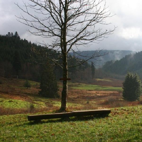 Looking down the valley from Karlsquelle