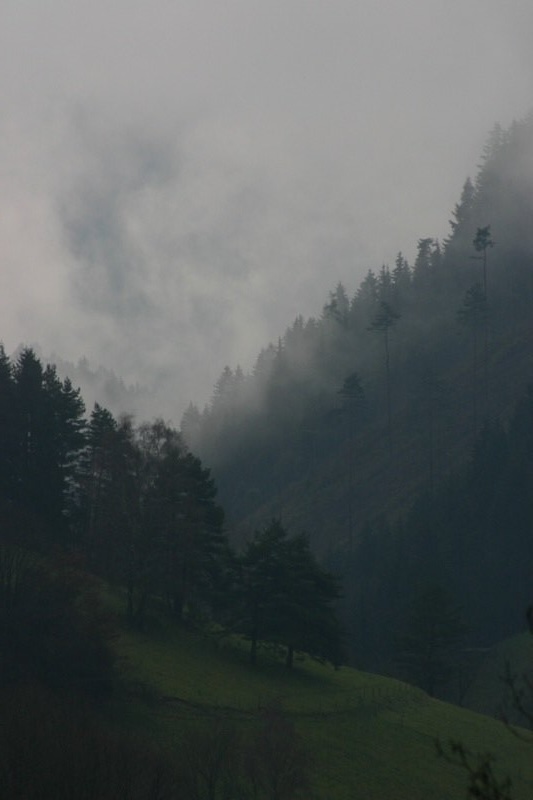 Magical valley