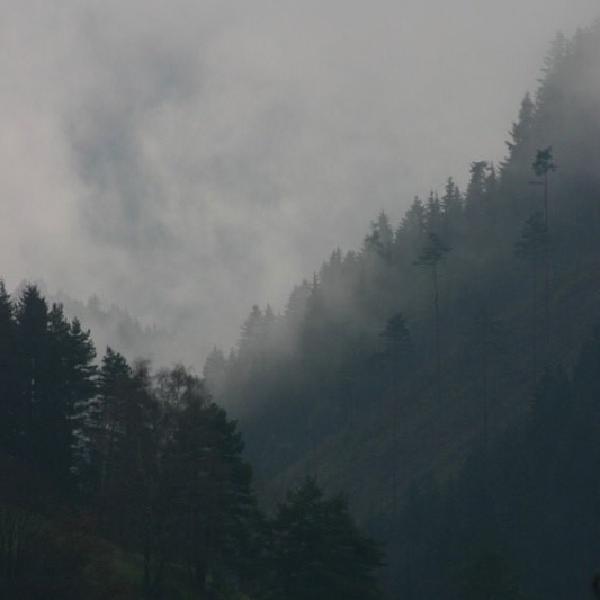 Magical valley
