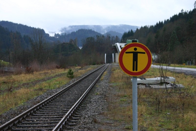No walking in the wild