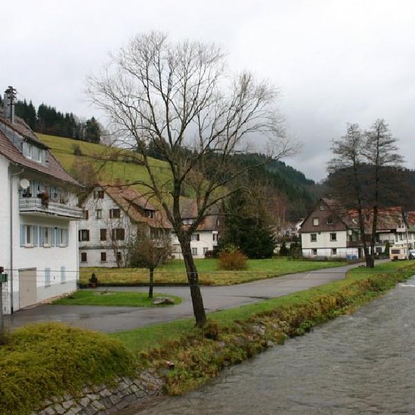 Schenkenzell houses