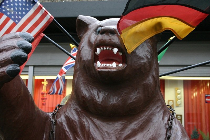 Sneezing bear