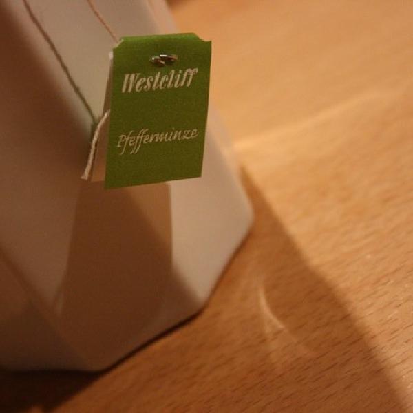 Testing with Pfefferminztee