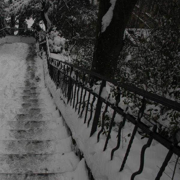 Down the steps