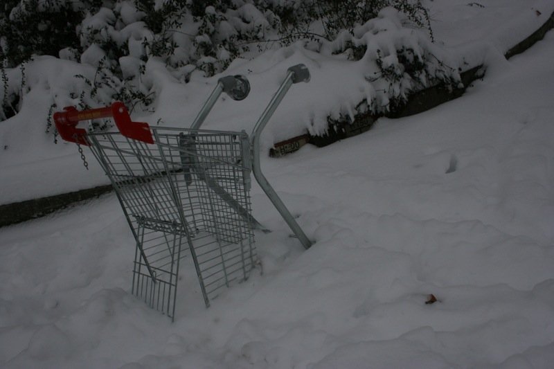 Einkaufswagen Umfall