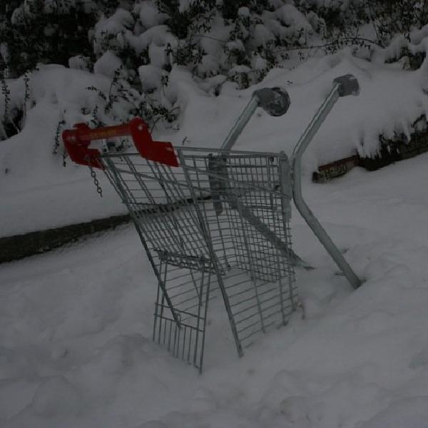 Einkaufswagen Umfall