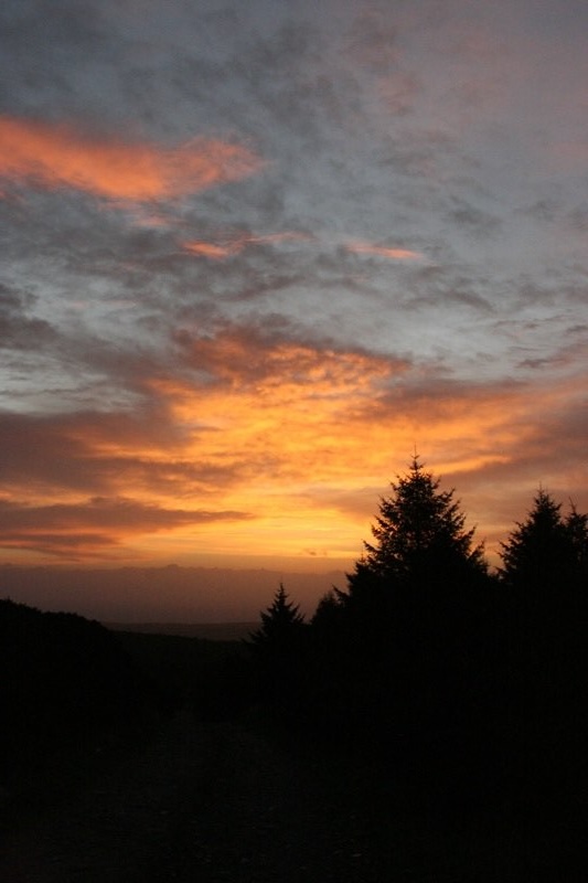 New Year Sunrise