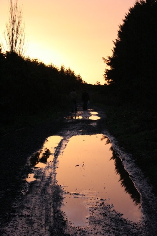 New Year Sunrise