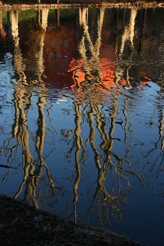 Reaching up into the lake