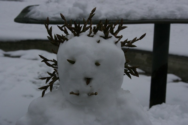 Snowpunk
