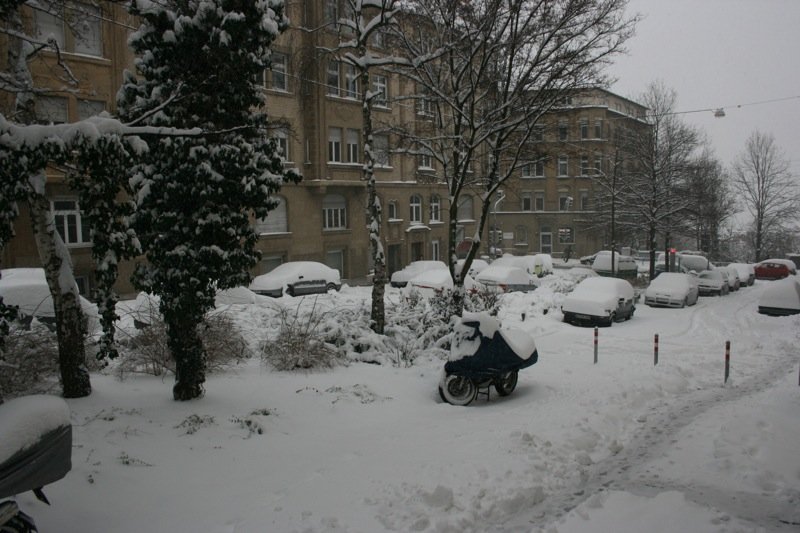 The scene this morning