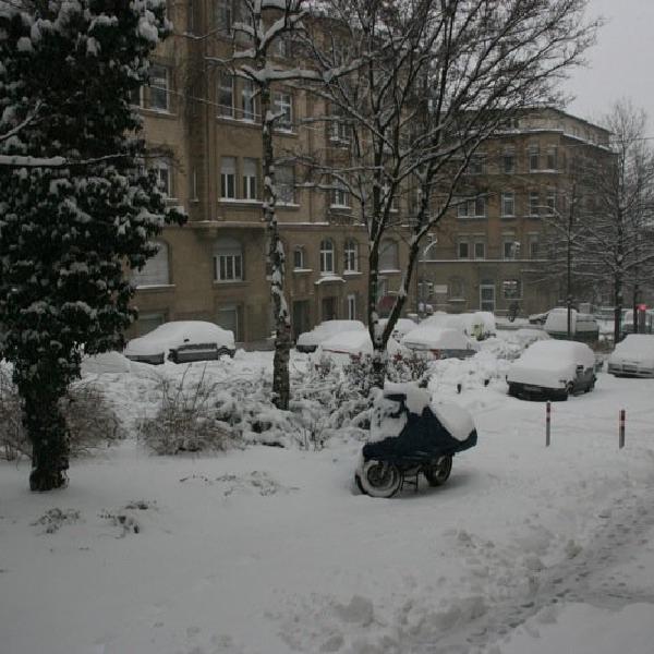 The scene this morning