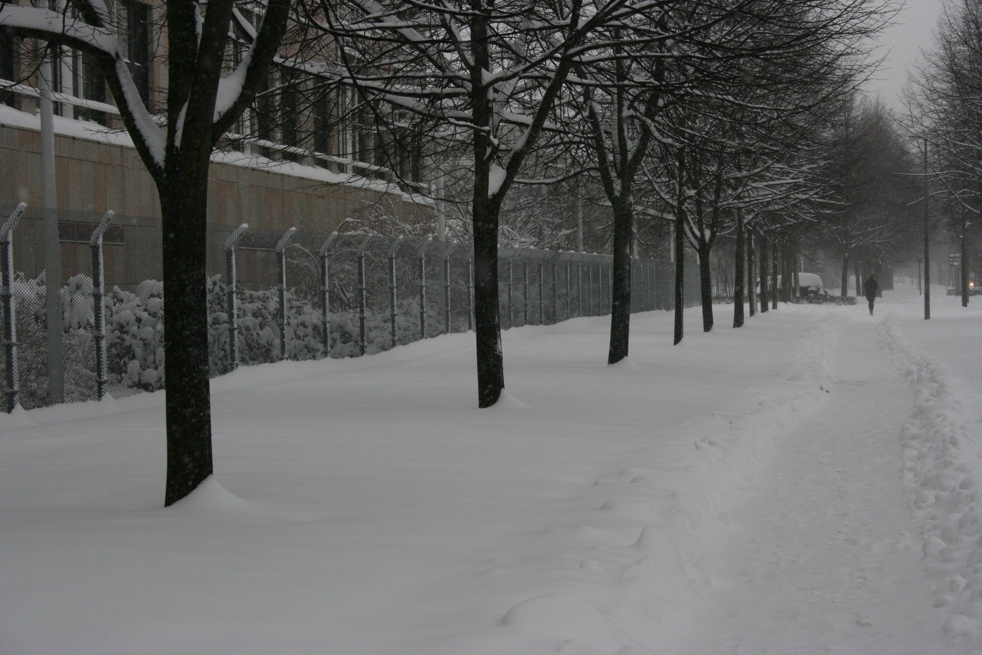 Walking to work in the snow