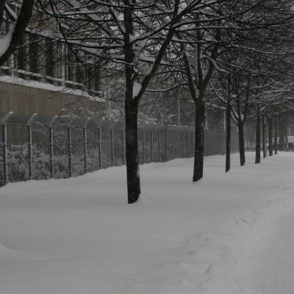 Walking to work in the snow
