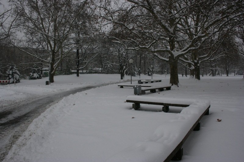 Zig-zag benches