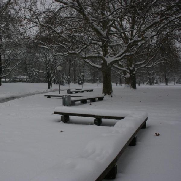 Zig-zag benches