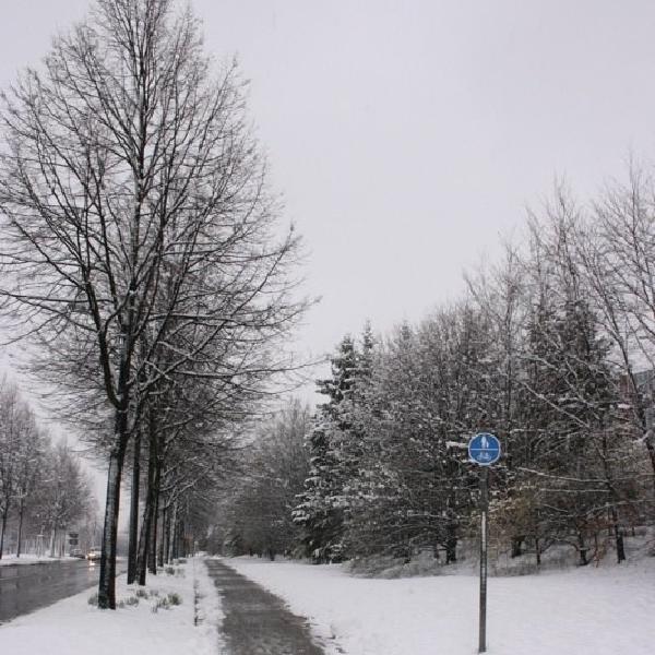 Did someone say Spring?