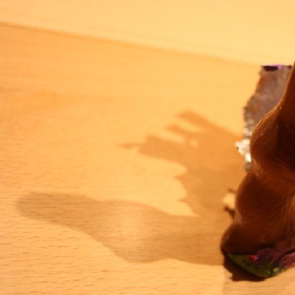 Easter bunny undressed