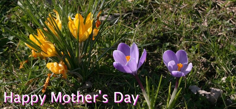 Happy Mother's Day
