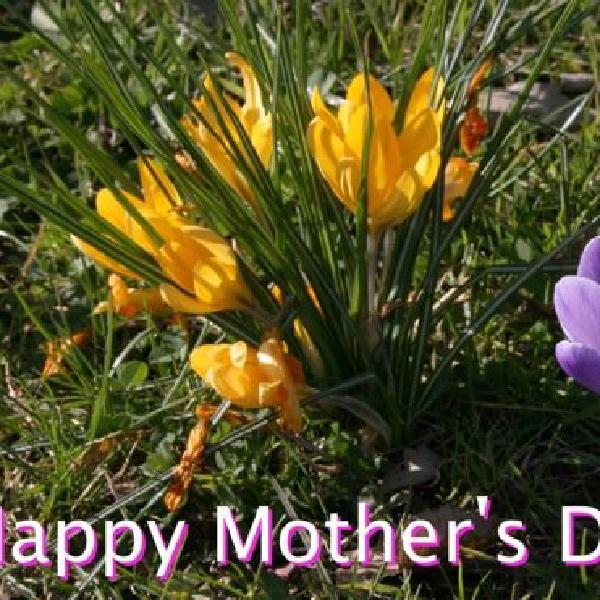 Happy Mother's Day