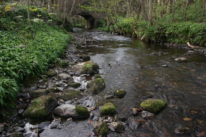 Athol Bridge