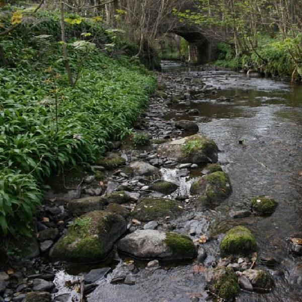 Athol Bridge