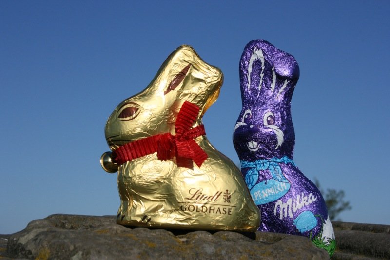 Doing what rabbits do