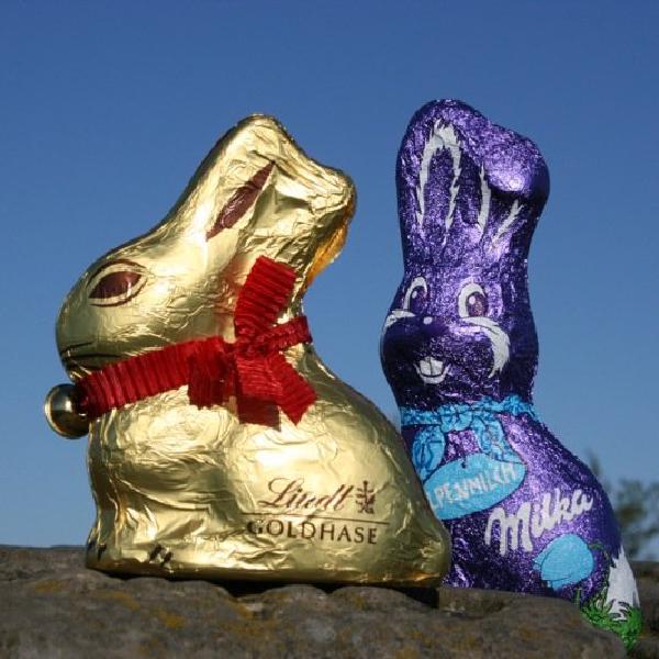 Doing what rabbits do