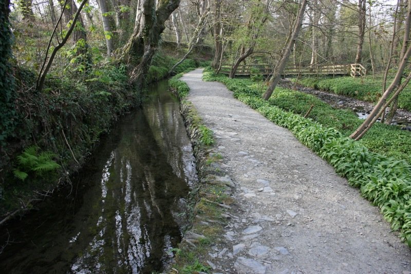 Path through the glen