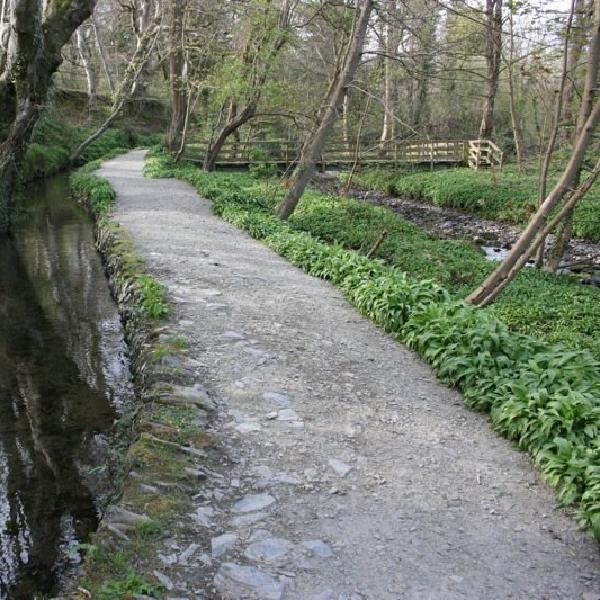 Path through the glen
