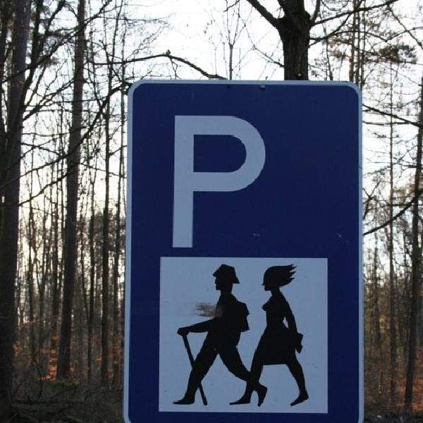 Pixies crossing?