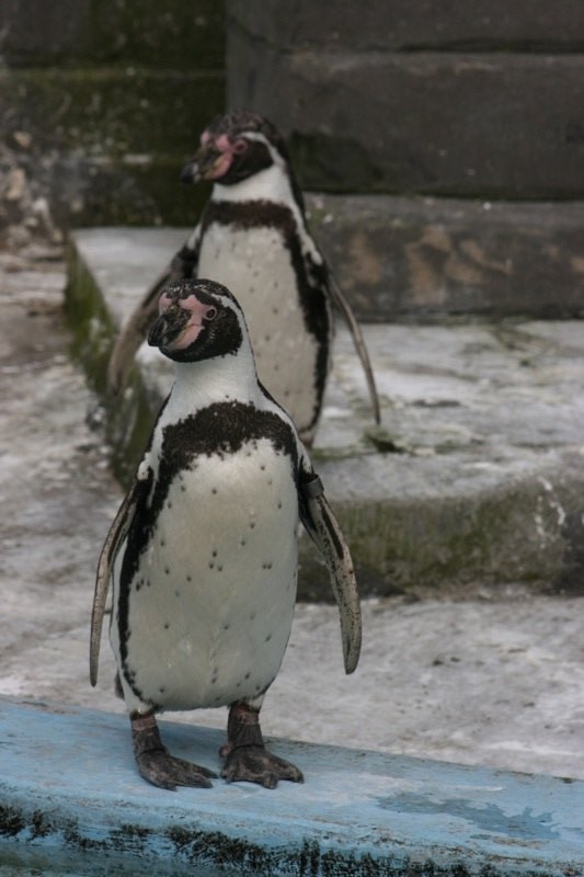 Posing for the camera