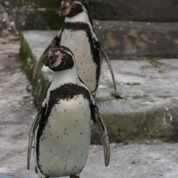 Posing for the camera