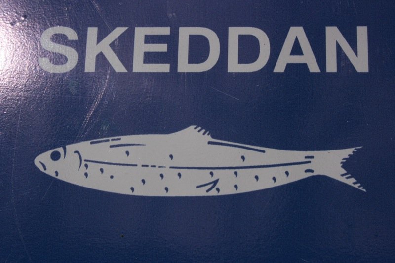 Skeddan