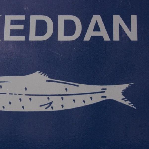 Skeddan