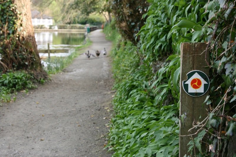 Waddling the Millenium Way