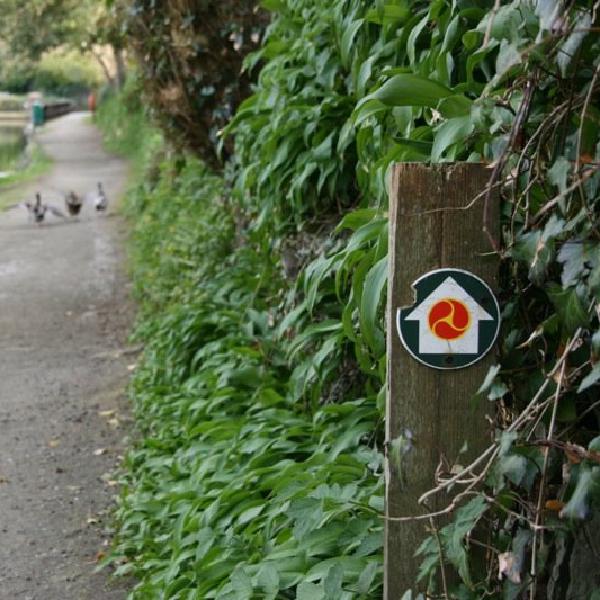 Waddling the Millenium Way