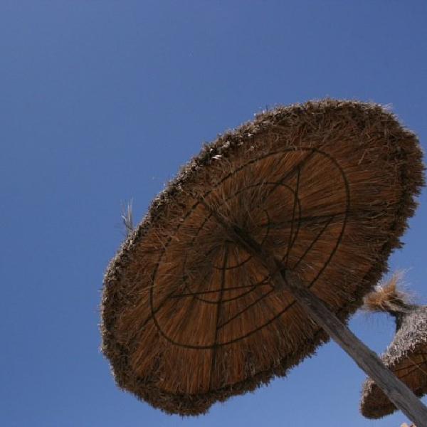 Beach umbrellas