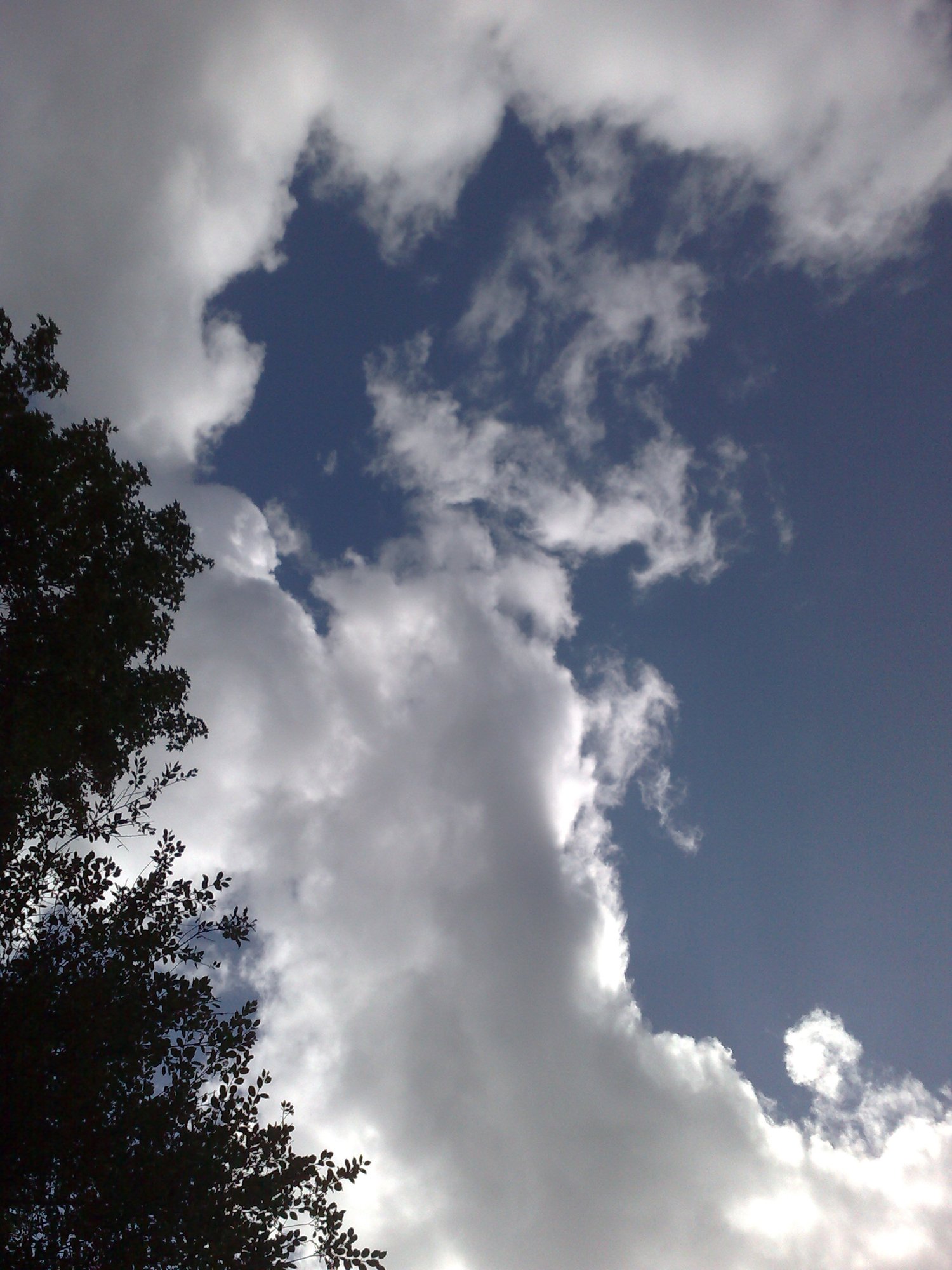 Blue skies... hope they stay that way...