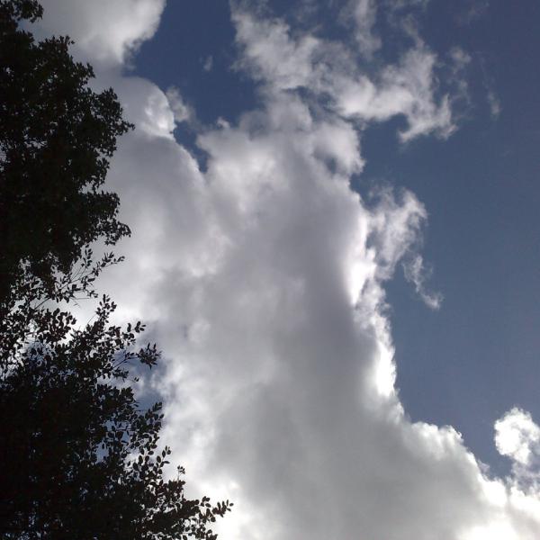 Blue skies... hope they stay that way...