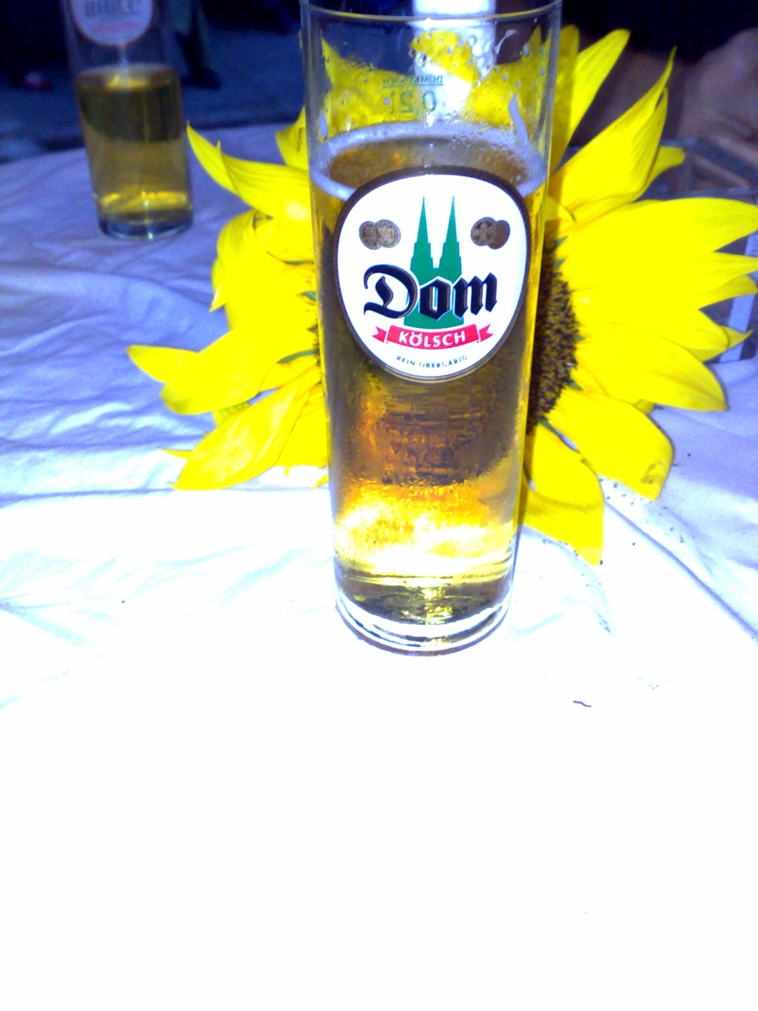 Ich mag flash nicht