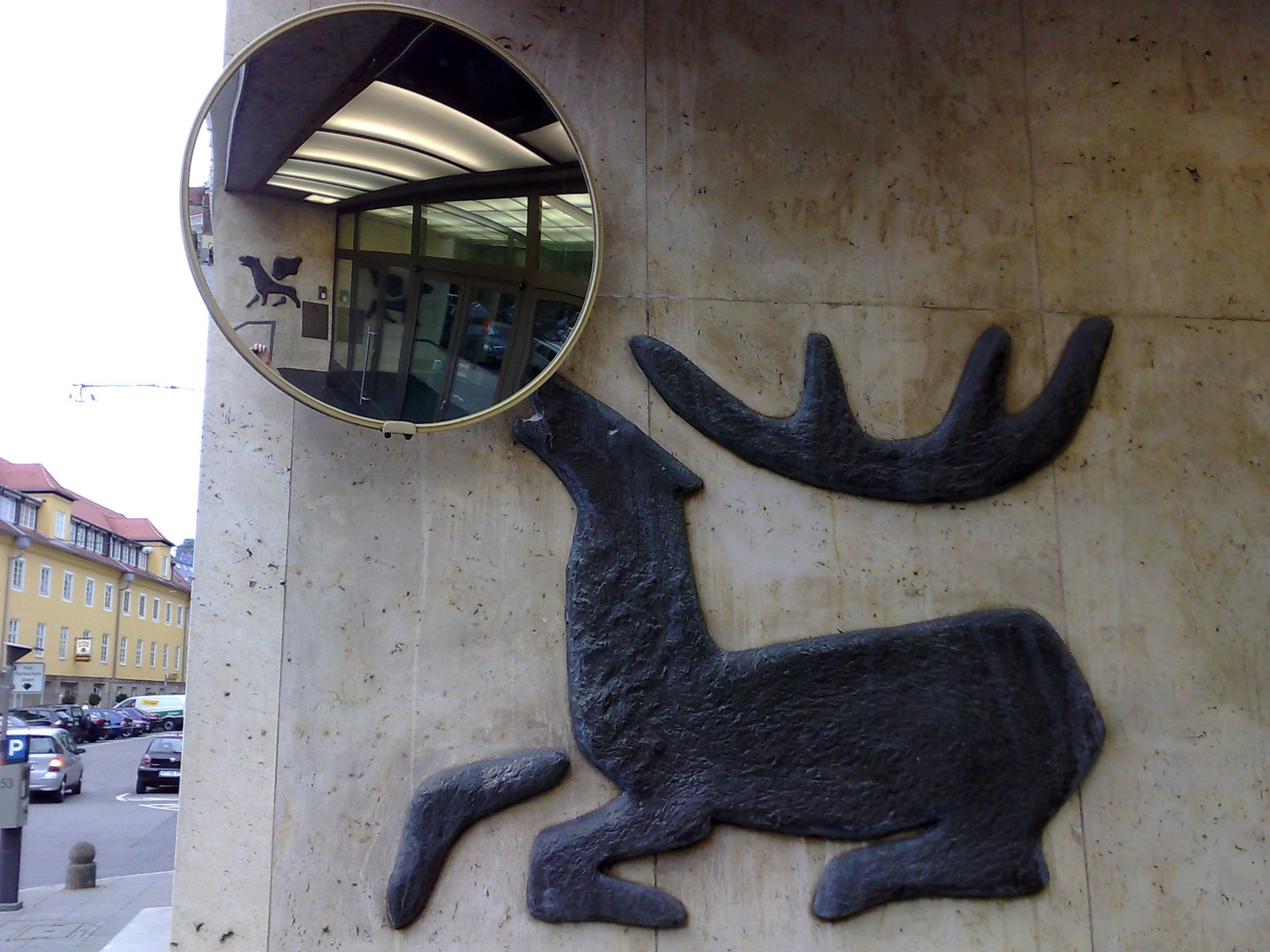 Moose nudging the mirror