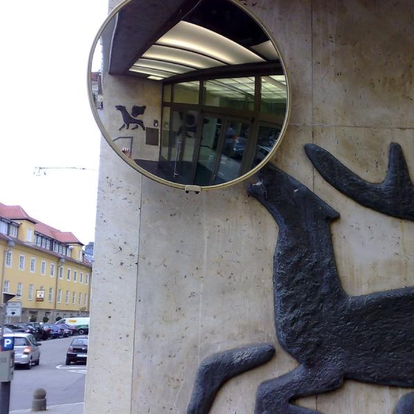 Moose nudging the mirror