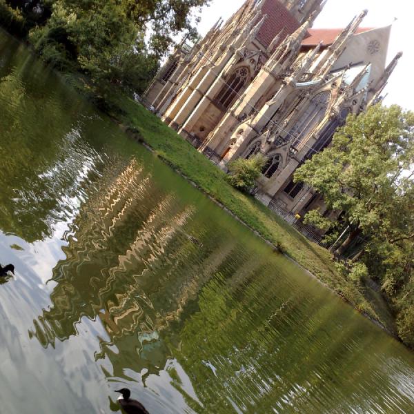Ente am See