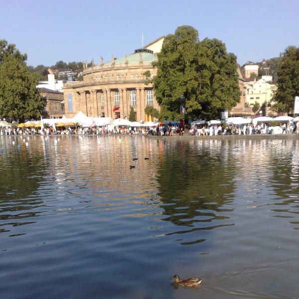 Ente am See