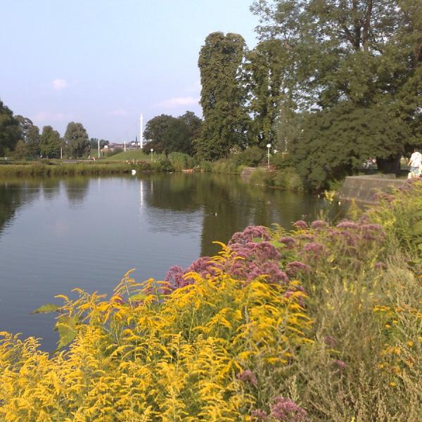 Lake in the park