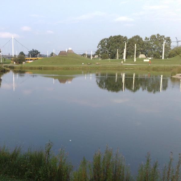 Passing the pond
