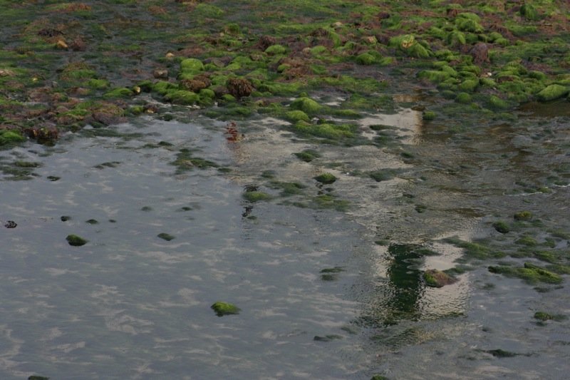 Subdued reflections
