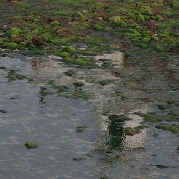 Subdued reflections