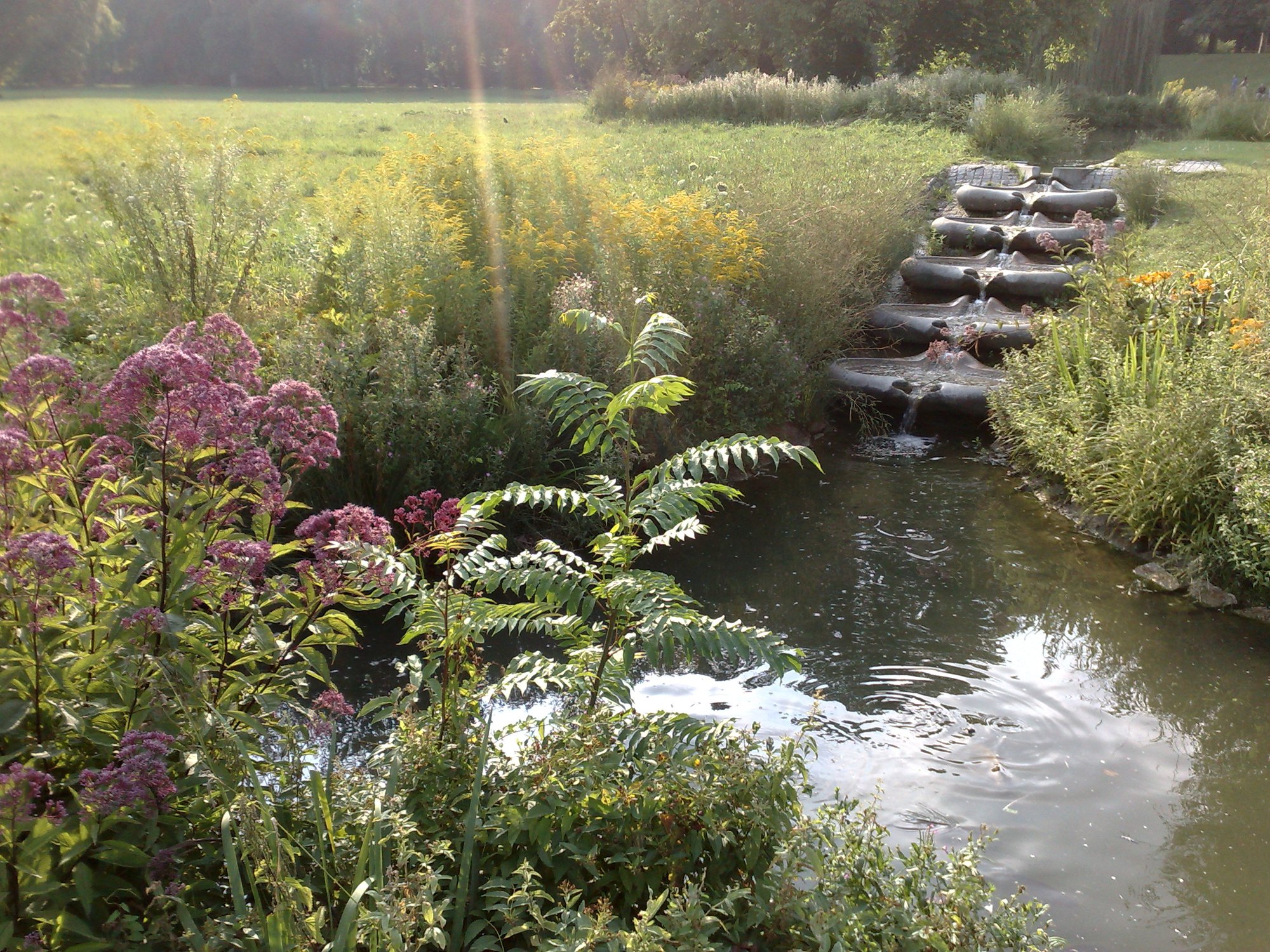 Waterway